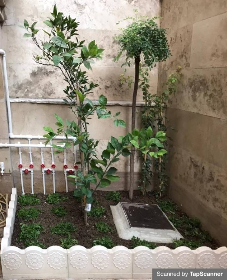 جدول سه گل دور باغچه